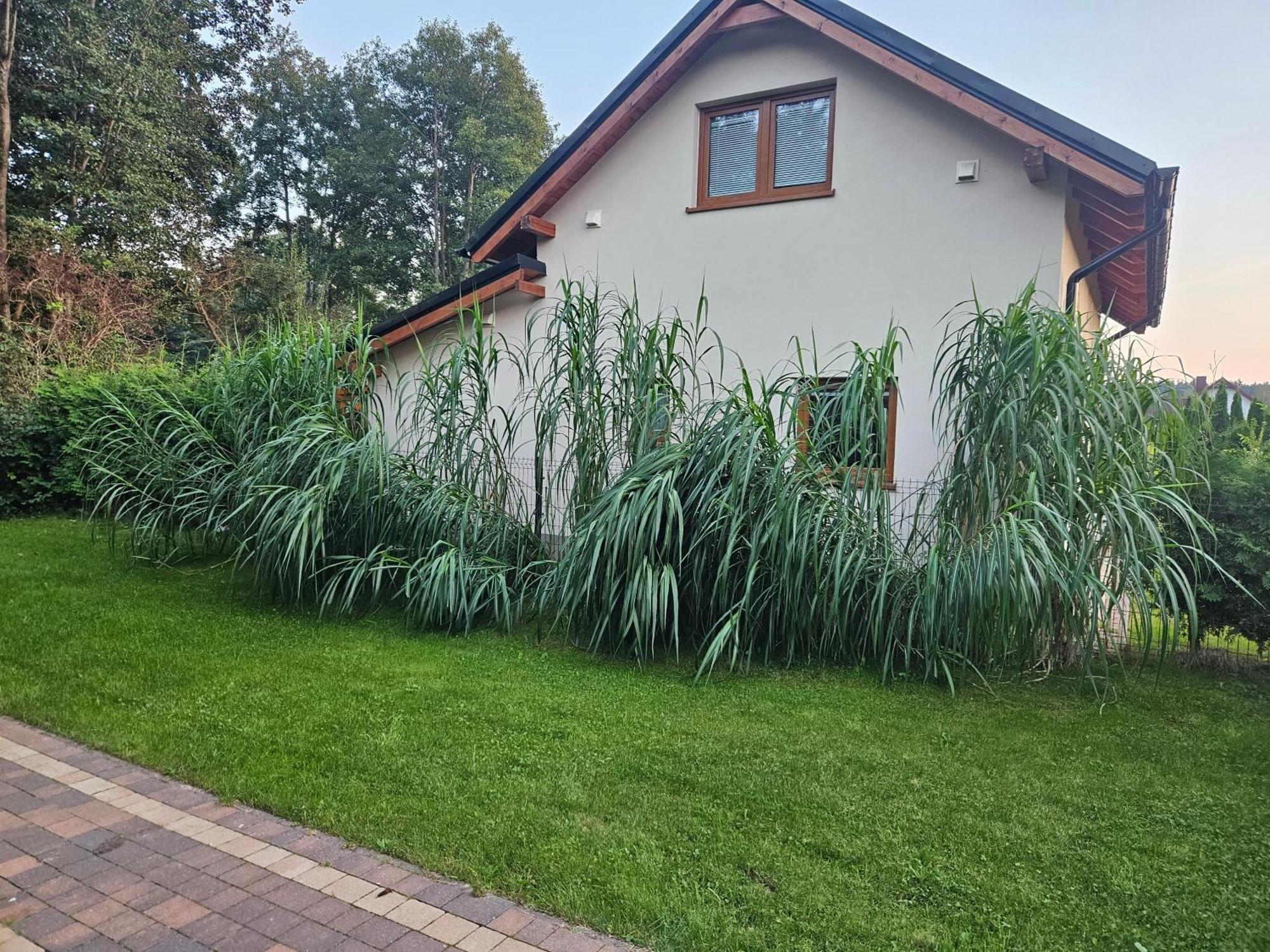 Osada Cztery Pory Roku - Dom Jesien Villa Kopalino Dış mekan fotoğraf